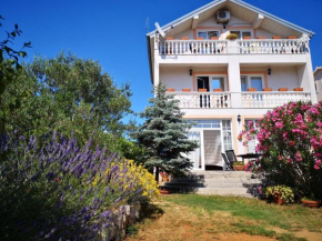 Apartments and rooms with parking space Zadar - Diklo, Zadar - 13987